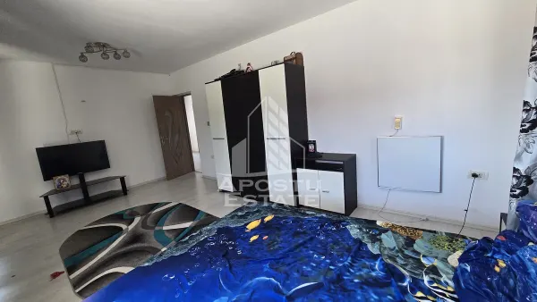 Casă 5 camere Padureni (Jebel) - poza 25