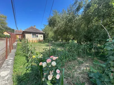 Bocsa Montana, Casa Cocheta de Vacanta sau investitie, Zona Pitoreasca - foto 21