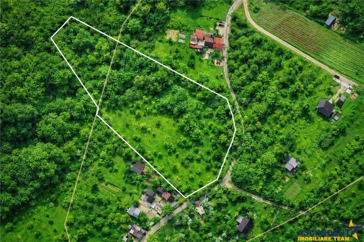 11.600mp teren, partial extravilan,Valea Mare Pravat, 2 km de Campulung Muscel - foto 1