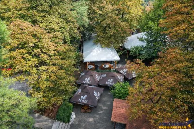 Complex Gastronomic:Afacere la cheie, Restaurant traditional secuiesc+terasa evenimente+carmangerie+ magazin+A - foto 19