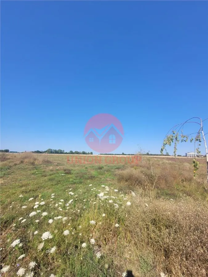 Teren Costinesti 1000 mp, Aproape de Plaja si de Nibiru, Ideal Investitie - foto 8