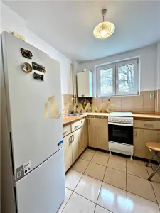 Apartament ultracentral | 2 cam | Aleea Nucului | ID:1165 - foto 7