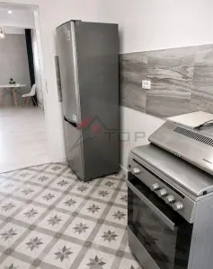 Apartament o camera- Lunca Cetatuii - foto 7