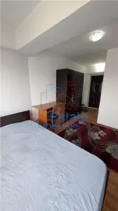 Garsoniera Mircea cel batran - foto 2