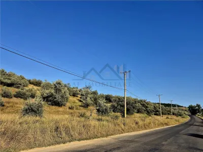Teren de 27660 mp in Letcani - foto 3