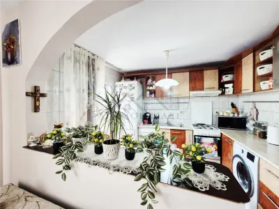 Casa de vanzare in Goruni-Tomesti - foto 2
