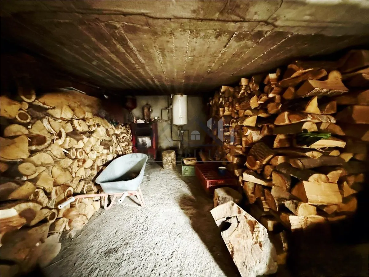 Casa de vanzare in Goruni-Tomesti - foto 11