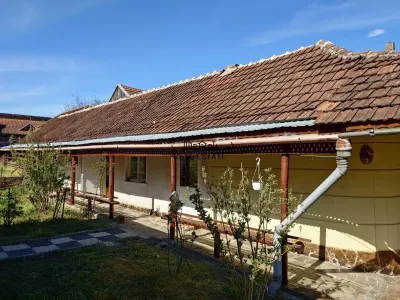 Casa si Teren Brad la drum european - foto 4