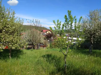 Casa si Teren Brad la drum european - foto 8