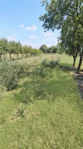 RECO Casa renovata in Tinca teren generos 2400m2 - foto 16