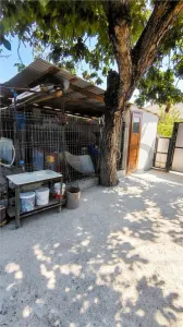 RECO Casa renovata in Tinca teren generos 2400m2 - foto 10