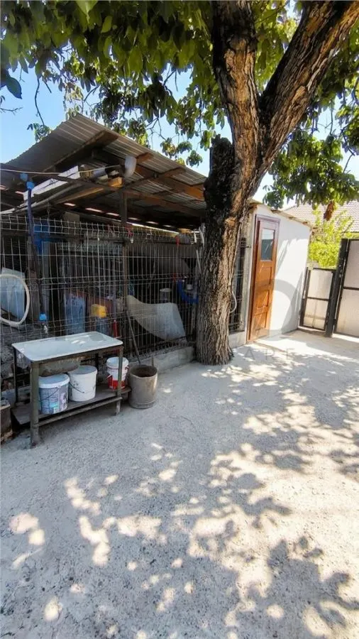 RECO Casa renovata in Tinca teren generos 2400m2 - foto 10