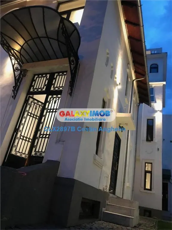 Vila reprezentativa individuala -  Aviatorilor - foto 11