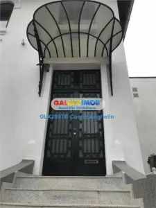 Vila reprezentativa individuala -  Aviatorilor - foto 13
