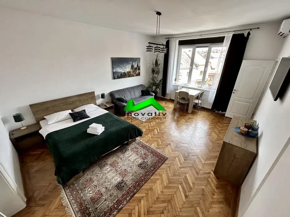 Studio modern de inchiriat Sibiu Ultracentral - foto 1
