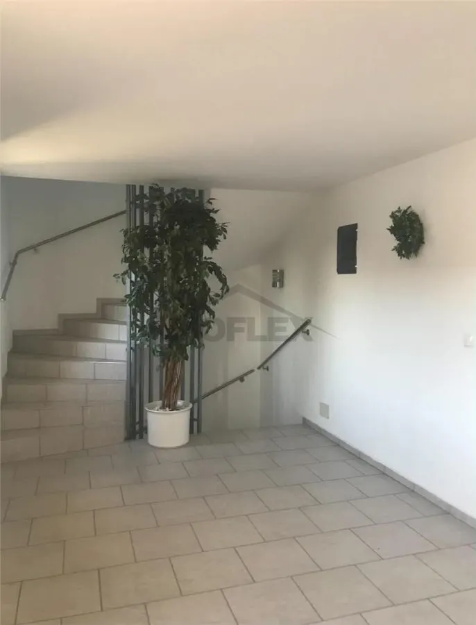 EXCLUSIVITATE ! Casa pe 3 etaje de vanzare in Cenad la pret de apartament, comision 0% - foto 12
