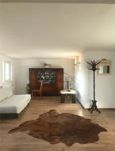 EXCLUSIVITATE ! Casa pe 3 etaje de vanzare in Cenad la pret de apartament, comision 0% - foto 13