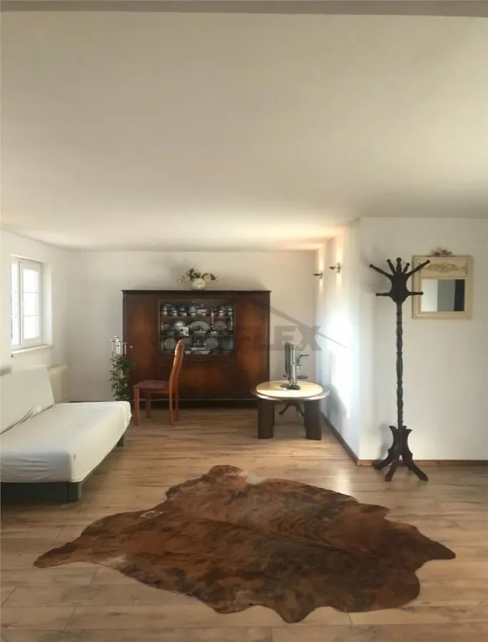EXCLUSIVITATE ! Casa pe 3 etaje de vanzare in Cenad la pret de apartament, comision 0% - foto 13