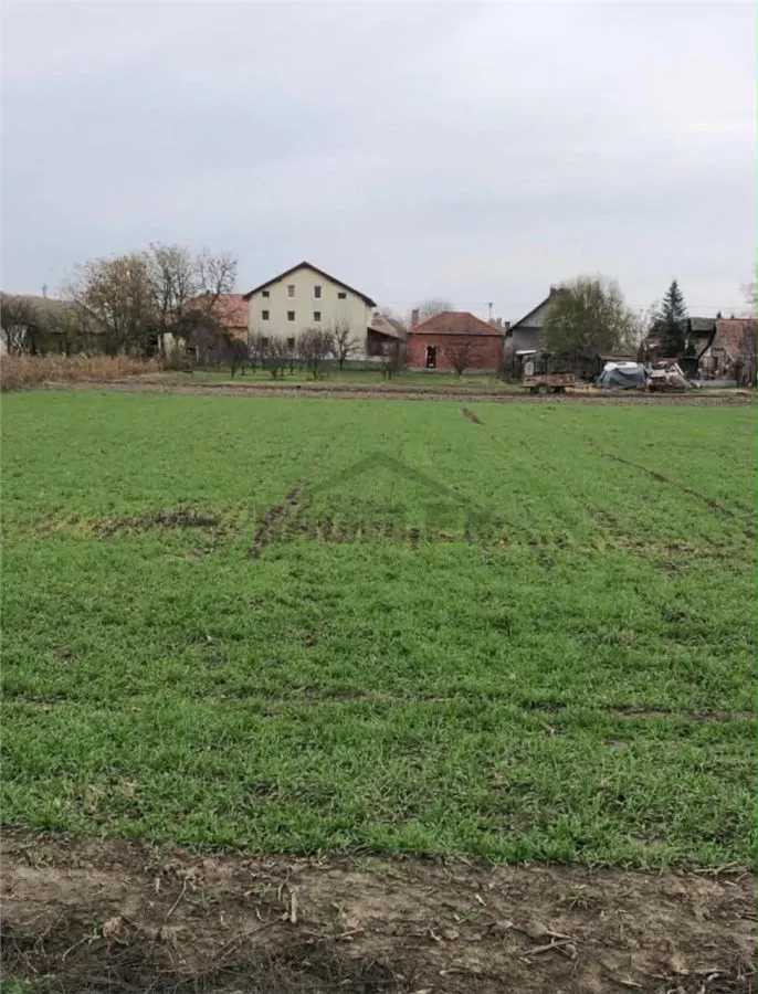 EXCLUSIVITATE ! Casa pe 3 etaje de vanzare in Cenad la pret de apartament, comision 0% - foto 4