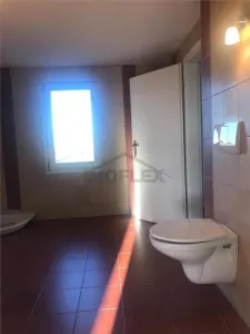 EXCLUSIVITATE ! Casa pe 3 etaje de vanzare in Cenad la pret de apartament, comision 0% - foto 9