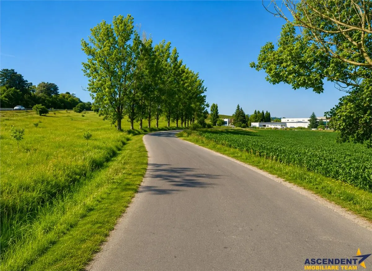 22.500mp oportunitate investitie, teren cu vizibilitate la DN1/ E68, Codlea, Brasov - foto 2