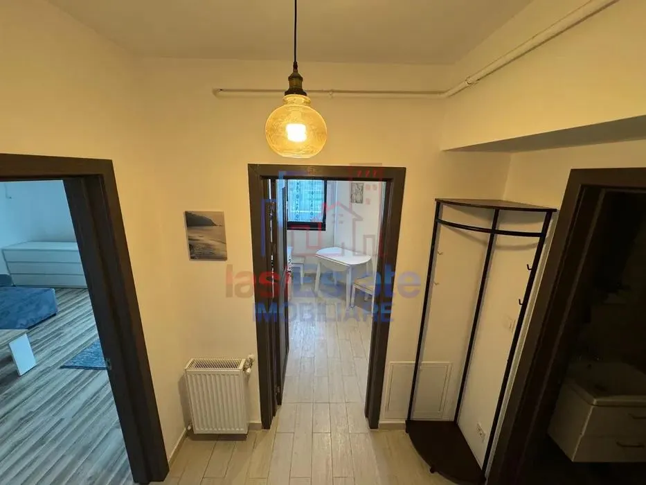 Apartament 1 Camera Tudor Vladimiresc - River Towers - foto 4