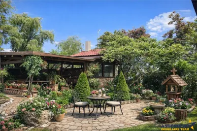 3D! La DN, Spatiu restaurant/ comercial/ activitati divertisment/ Halchiu, Brasov - foto 7