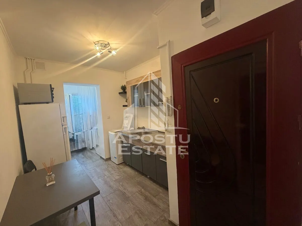 Garsoniera de vanzare, renovata , Zona Lipovei - foto 7