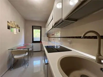 Apartament 2 Camere Nicolina - Rond Vechi - foto 9