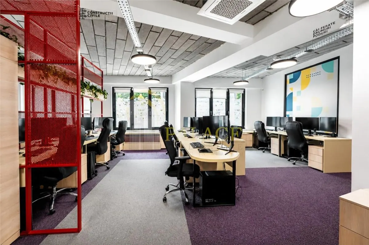 Office Premium de Inchiriat | 265 mp | La Suite Copou - foto 1