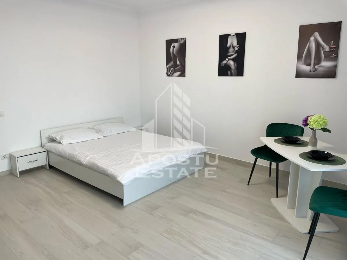 Apartament cu 1 camera mobilat si utilat in Giroc la asfalt. - foto 1