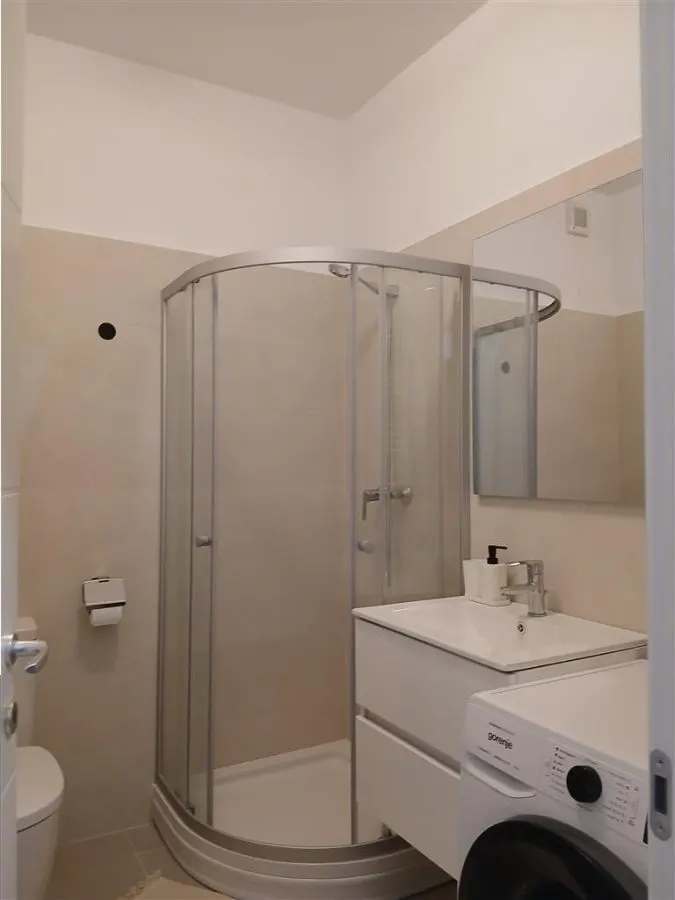 Apartament  3 camere  Titan  Parc  I O R - foto 9