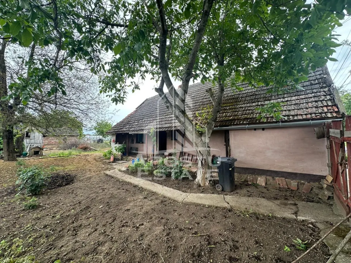 Casa cu teren de vanzare in Zimandu Nou - foto 1