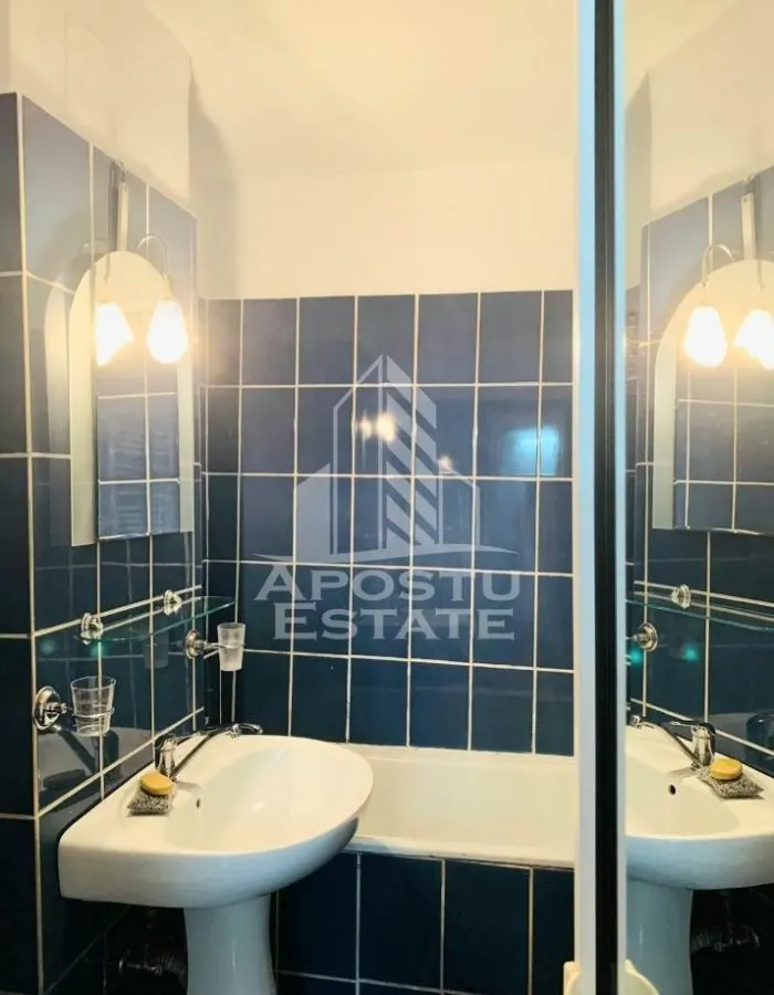 Apartament cu 2 camere si living la parter Calea Lipovei - foto 6