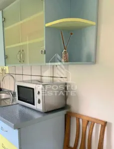 Apartament cu 2 camere si living la parter Calea Lipovei - foto 8