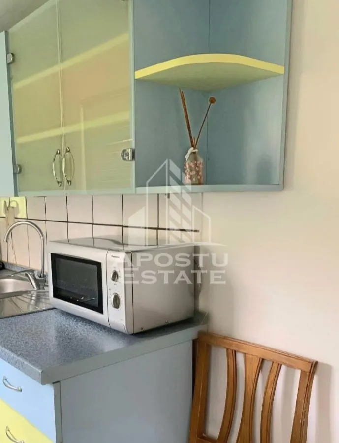 Apartament cu 2 camere si living la parter Calea Lipovei - foto 8