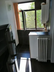 Garsonieră de închiriat | Zonă centrală | Etaj intermediar | Centrală proprie - foto 3