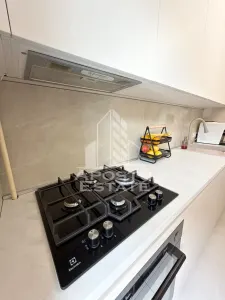 Apartament cu 2 camere mobilat si utilat decomandat in Giroc la asfalt - foto 11