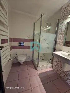Vila de inchiriat, 7 camere, Green Valley, Brasov - foto 13