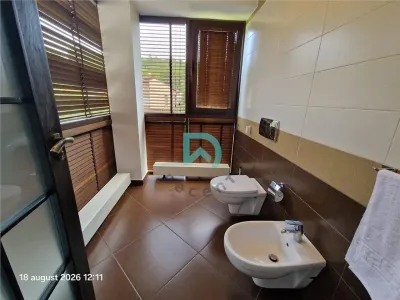 Vila de inchiriat, 7 camere, Green Valley, Brasov - foto 16