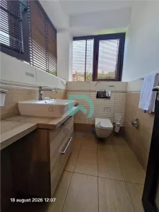 Vila de inchiriat, 7 camere, Green Valley, Brasov - foto 26