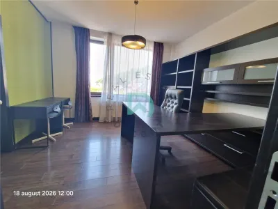 Vila de inchiriat, 7 camere, Green Valley, Brasov - foto 38