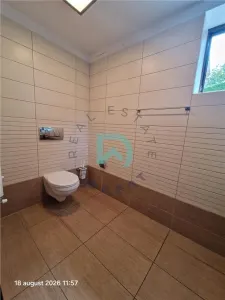 Vila de inchiriat, 7 camere, Green Valley, Brasov - foto 43