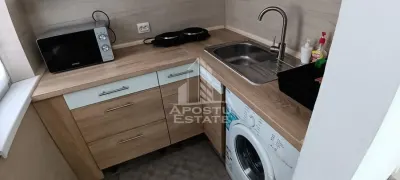 Garsoniera de inchiriat, zona Lipovei Timisoara - foto 4