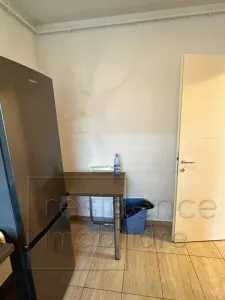 Apartament 2 camere, Intre Lacuri, zona Iulius Mall+Garaj - foto 12