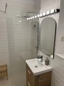 Apartament 2 camere de inchiriat | Camil Ressu | Sector 3 - foto 6