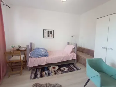 Apartament 2 camere de închiriat â€“ Podu Roș | 2 minute de Palas - foto 2