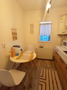 Apartament 2 camere de închiriat â€“ Podu Roș | 2 minute de Palas - foto 3
