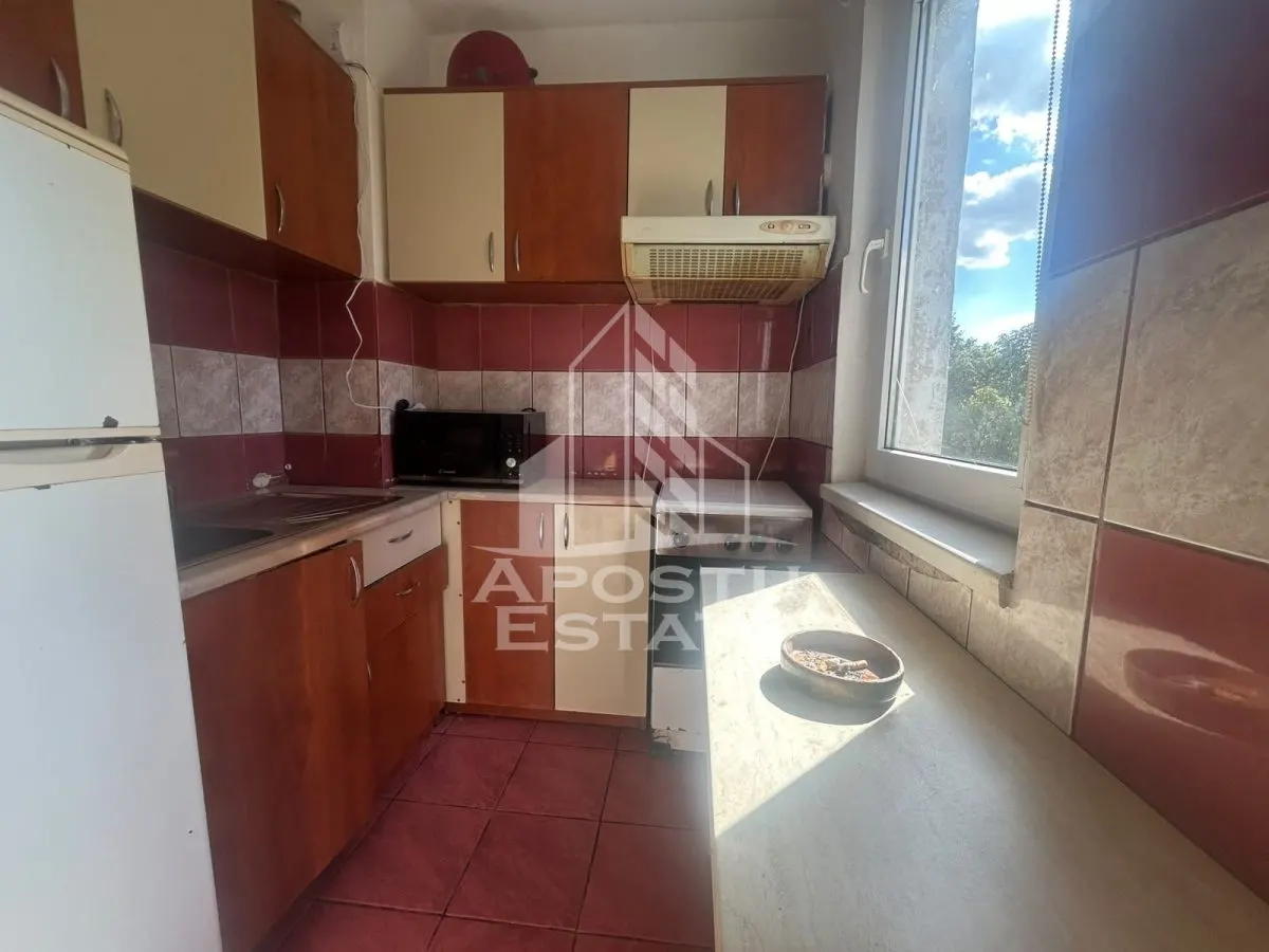 Apartament cu 2 camere de inchiriat in zona Sagului - foto 6
