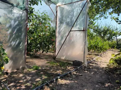 Casa de vanzare in sat Novaci â€“ teren de p865 mp, acces asfaltat,Ocazie! - foto 11
